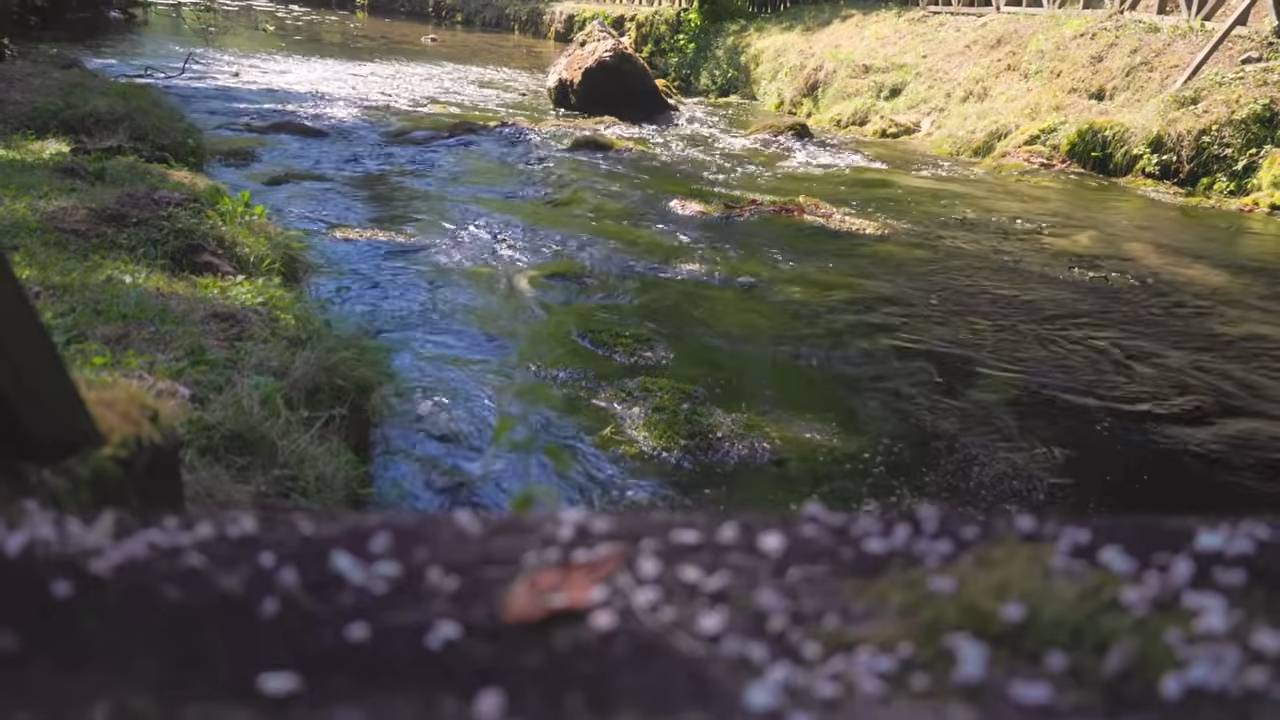 Bistra voda reke Bosne protiče kroz zelenilo zaštićenog područja Vrelo Bosne kod Sarajeva.